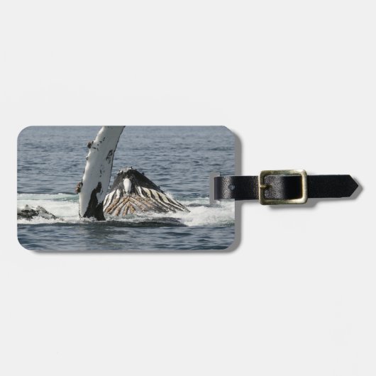 Humpback Whale Bagagelabel (Voorkant horizontaal)