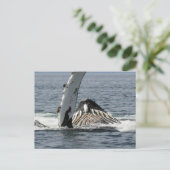 Humpback Whale Briefkaart (Staand voorkant)