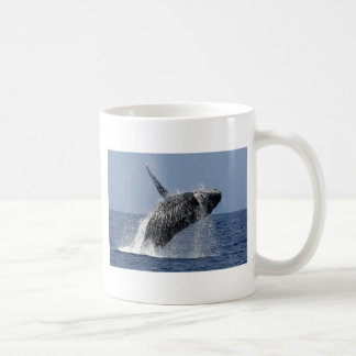 Humpback Whale Coofee Mok