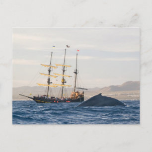 Humpback Whale en Ship Briefkaart