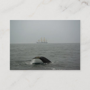 Humpback Whale en Tall Ship 2 Mini Print Visitekaartje