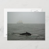 Humpback Whale en Tall Ship Briefkaart (Voorkant / Achterkant)