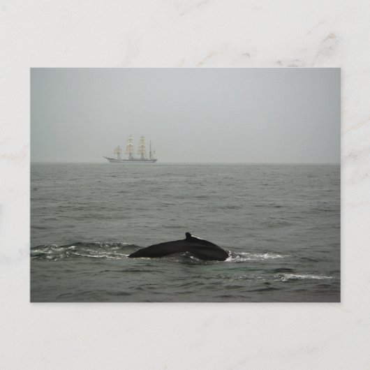 Humpback Whale en Tall Ship Briefkaart (Voorkant)