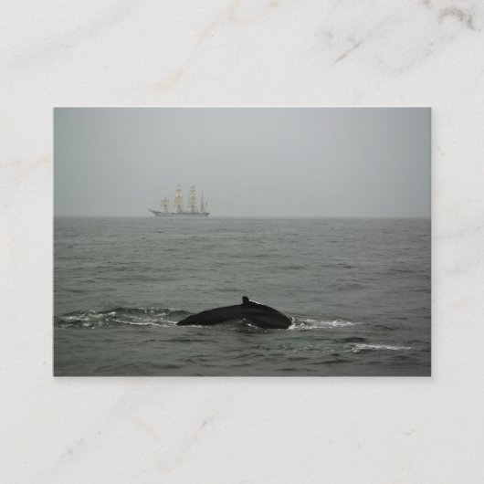 Humpback Whale en Tall Ship Mini Print Visitekaartje (Voorkant)
