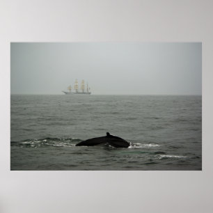 Humpback Whale en Tall Ship Print