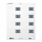 Humpback Whale Etiket (Full Sheet)
