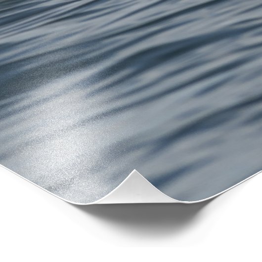 Humpback Whale Foto Afdruk (Hoek)