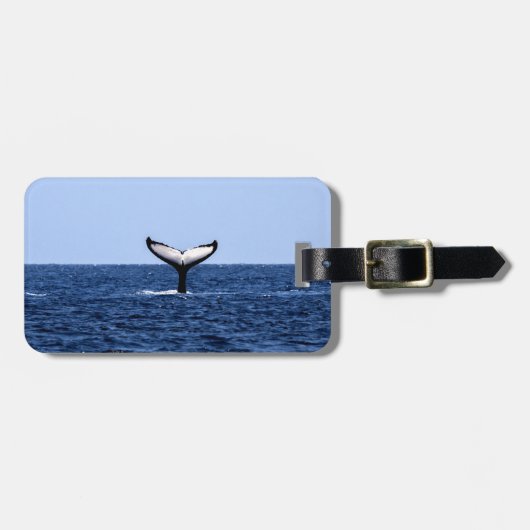 Humpback Whale in Ocean Bagagelabel (Voorkant horizontaal)