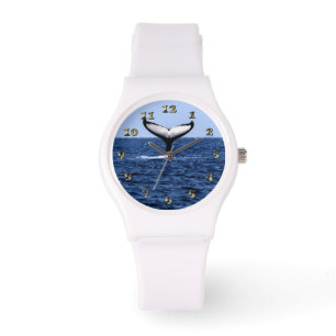 Humpback Whale in Ocean Horloge