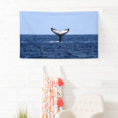 Humpback Whale in Ocean Spandoek (Insitu)