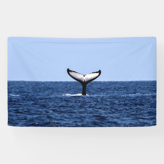 Humpback Whale in Ocean Spandoek (Horizontaal)