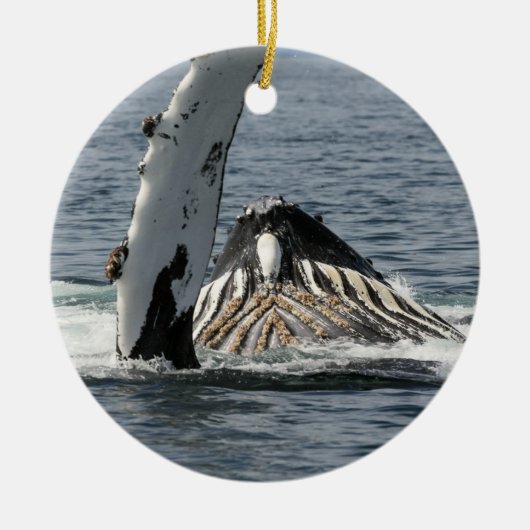 Humpback Whale Keramisch Ornament (Voorkant)