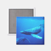 Humpback Whale Magneet (Voorkant / Achterkant)