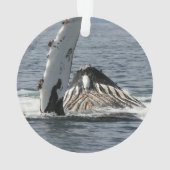 Humpback Whale Ornament (achterkant)
