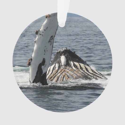 Humpback Whale Ornament (voorkant)