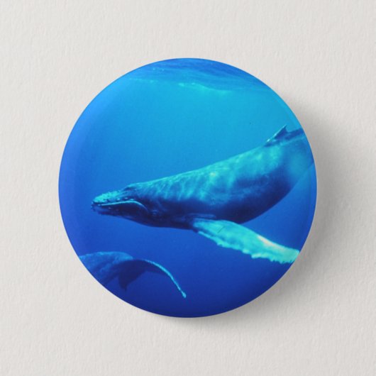 Humpback Whale Ronde Button 5,7 Cm (Voorkant)