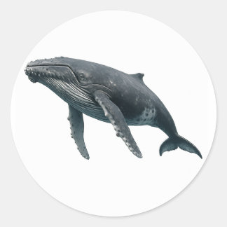 Humpback Whale Ronde Sticker