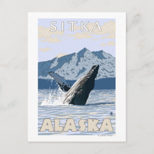 Humpback Whale - Sitka, Alaska Briefkaart