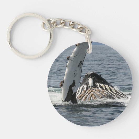 Humpback Whale Sleutelhanger (Voorkant)