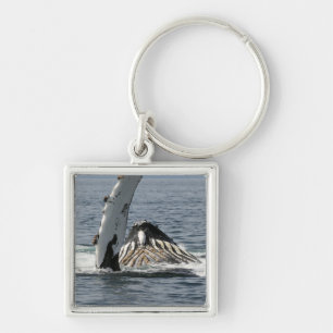 Humpback Whale Sleutelhanger