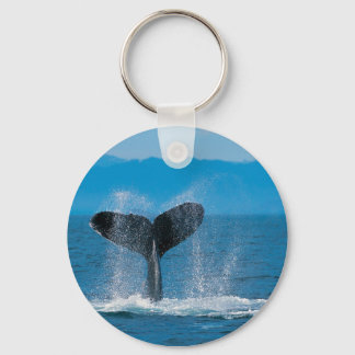 Humpback Whale Sleutelhanger