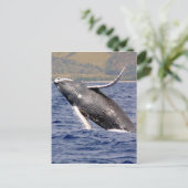 Humpback Whale Splashing Briefkaart (Staand voorkant)