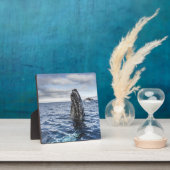 Humpback Whale Spyhops | Hope Bay, Antarctica Fotoplaat (Insitu)