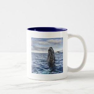 Humpback Whale Spyhops   Hope Bay, Antarctica Tweekleurige Koffiemok
