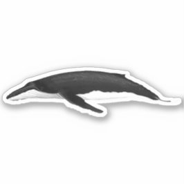 HUMPBACK WHALE STICKER