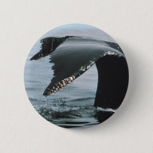 Humpback Whale Tail Ronde Button 5,7 Cm