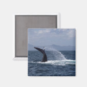 Humpback Whale Tail Splash Magneet (Voorkant / Achterkant)