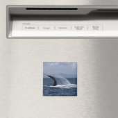 Humpback Whale Tail Splash Magneet (Insitu (Vaatwasser))