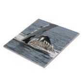 Humpback Whale Tegeltje (Zijkant)