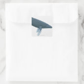 Humpback Whale Vierkante Sticker (Tas)