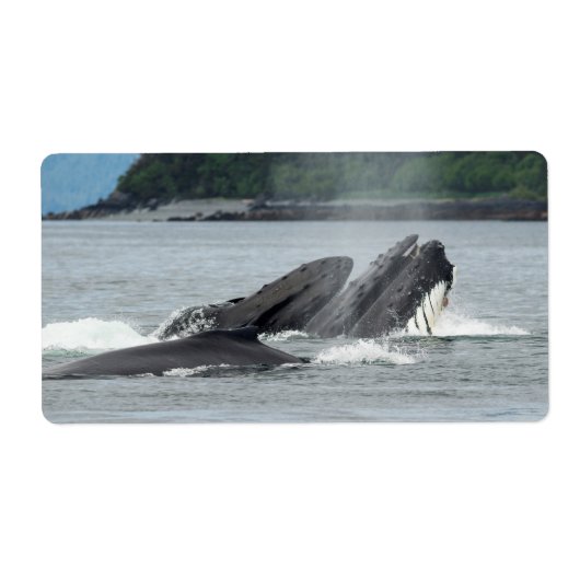Humpback Whales Etiket (Voorkant)