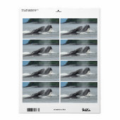Humpback Whales Etiket (Full Sheet)