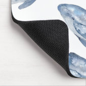 Humpback Whales in Waterverf Muismat (Hoek)