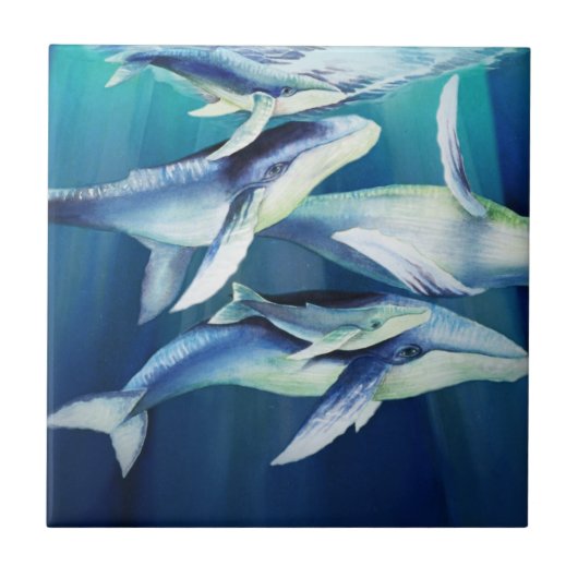 Humpback Whales Tegeltje (Voorkant)