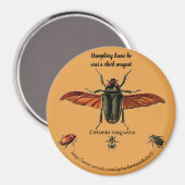 "Humphrey savait qu'il était un aimant pour pousse (Recto/Verso)