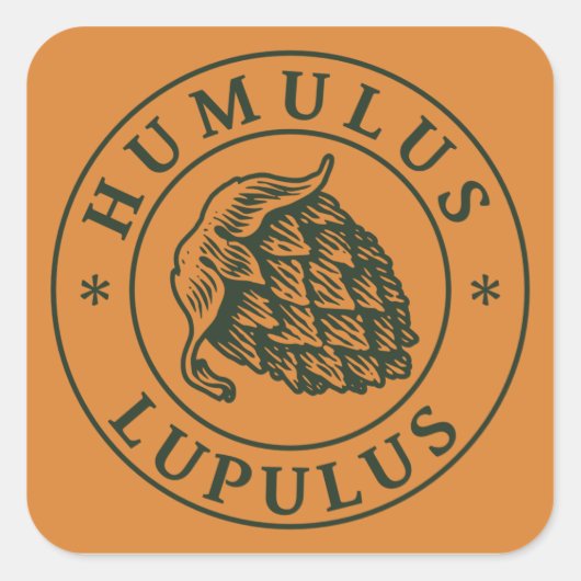 Humulus lupulus autocollant carré (Devant)
