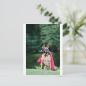 Hund beim Fitnesstining Briefkaart (Staand voorkant)