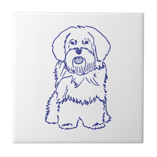 Hunderasse Havanese Tegeltje (Voorkant)