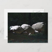 Hunebed, Borger Briefkaart (Voorkant / Achterkant)