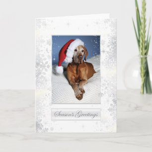 Hungarian Vizsla Christmas Card 007 Feestdagen Kaart