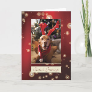Hungarian Vizsla Christmas Card 008 Feestdagen Kaart
