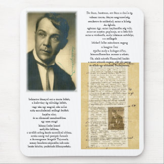 Hungarica reeks 1 muismat