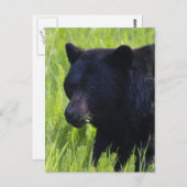 Hungry Black Beer Briefkaart (Voorkant / Achterkant)