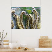 Hungry Cabbage White Caterpilars Print (Keuken)