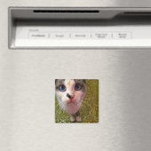 Hungry Cat Fridge Magnet Magneet (Insitu (Vaatwasser))