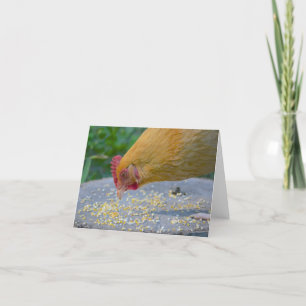 Hungry Chicken Notecard Kaart